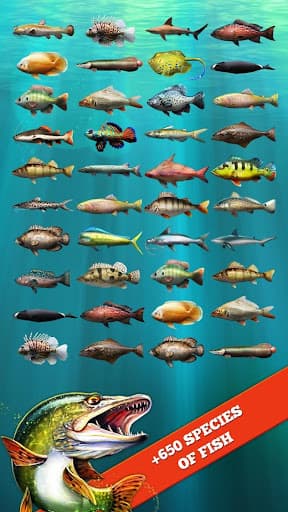 Let's Fish: Fishing Simulator screenshot 3 - screenshot