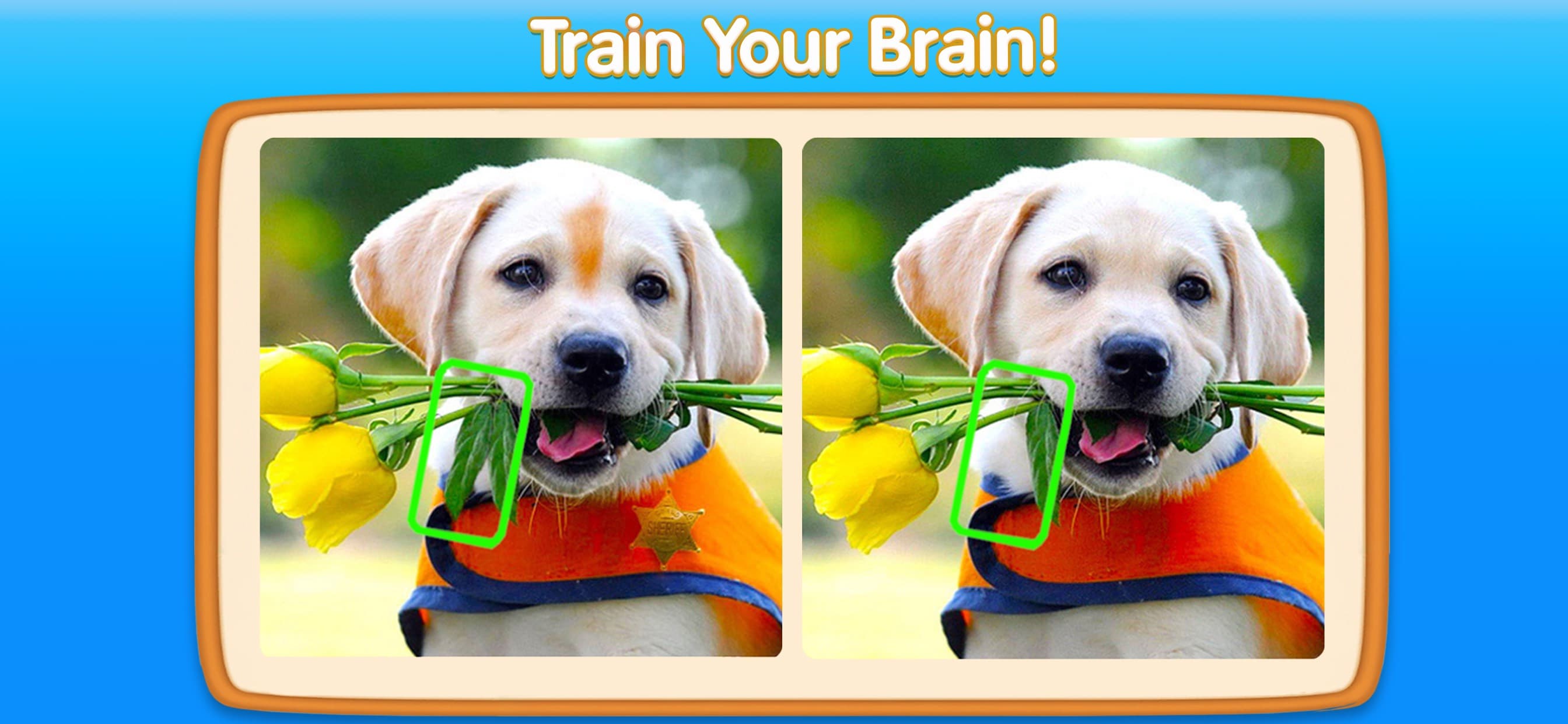 Can You Spot It－5 Differences screenshot 3 - screenshot