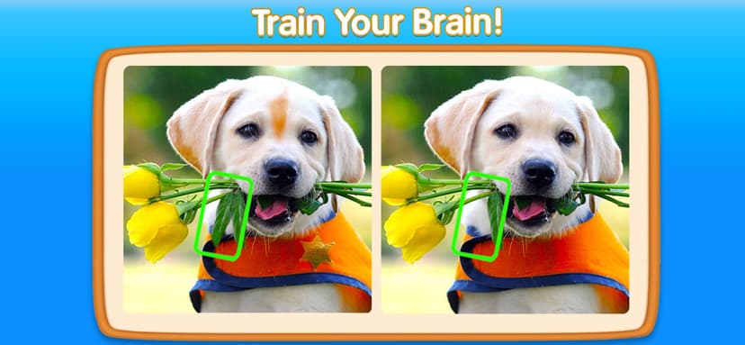 Can You Spot It－5 Differences screenshot 3 - screenshot