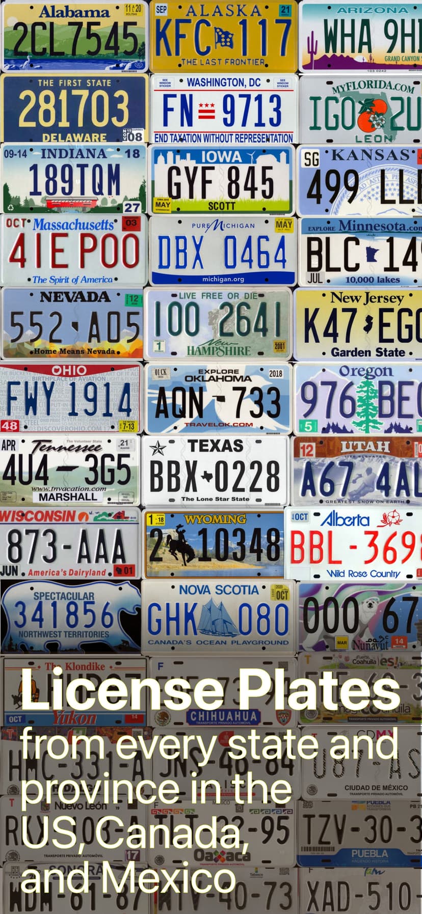 License Plates of Legend screenshot 1 - screenshot
