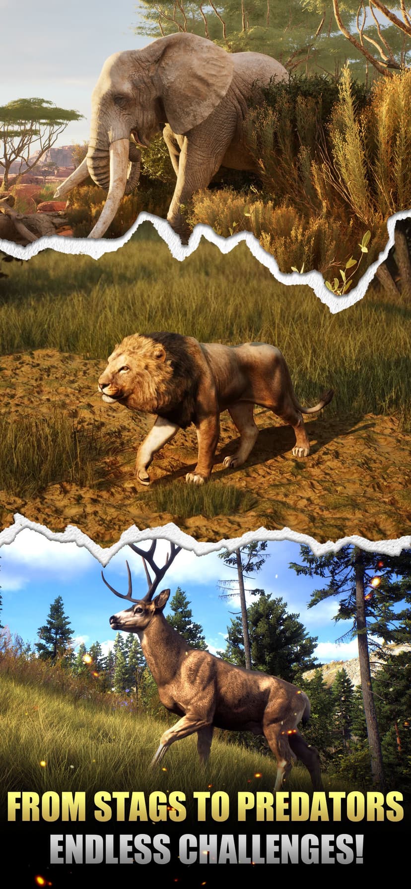 Hunting Game - Sniper Battle screenshot 2 - screenshot