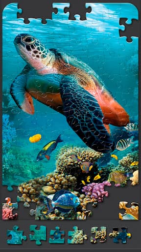 Jigsaw Puzzles for Adults screenshot 1 - screenshot