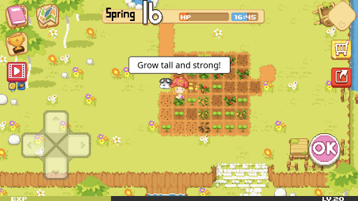 The Farm : Sassy Princess screenshot 10 - screenshot