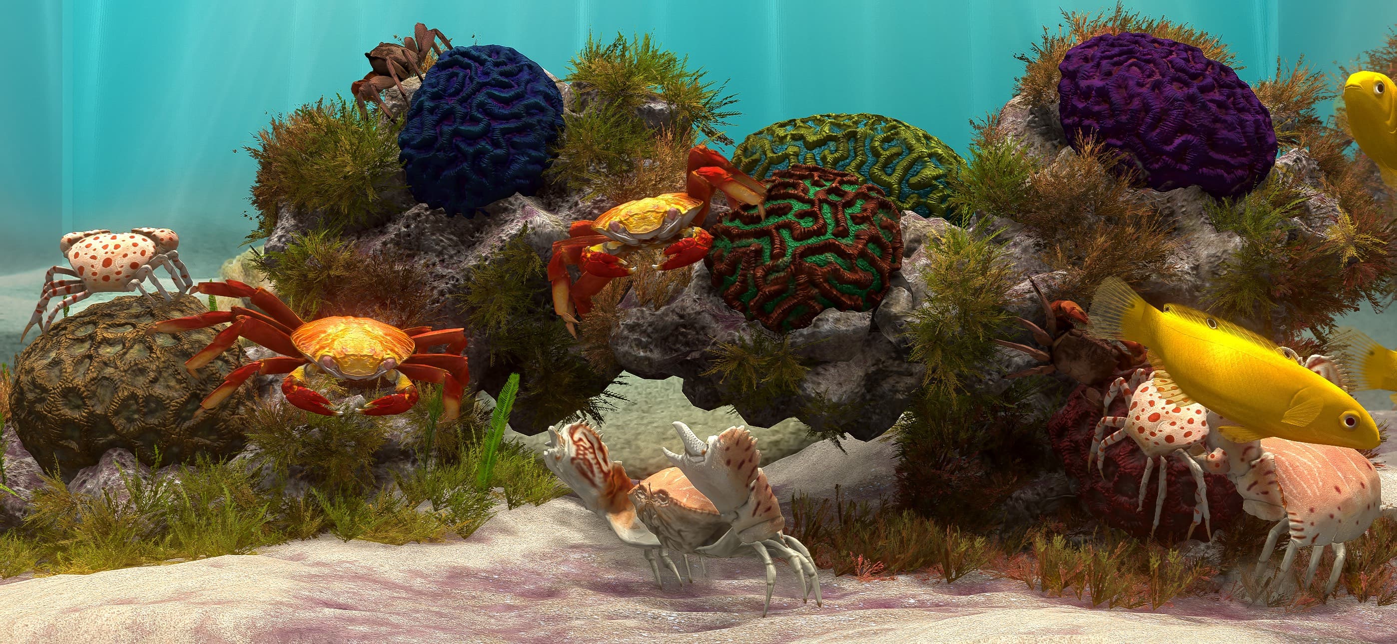Fish Farm 4: 3D Aquarium screenshot 9 - screenshot