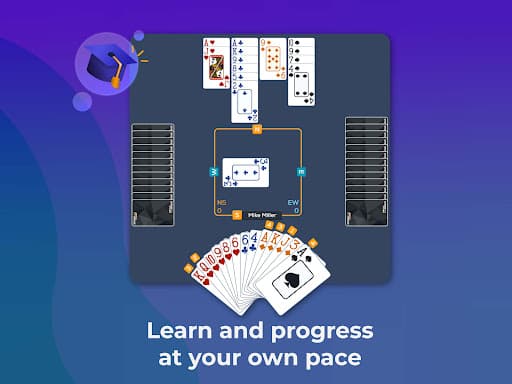 Fun Bridge screenshot 11 - screenshot