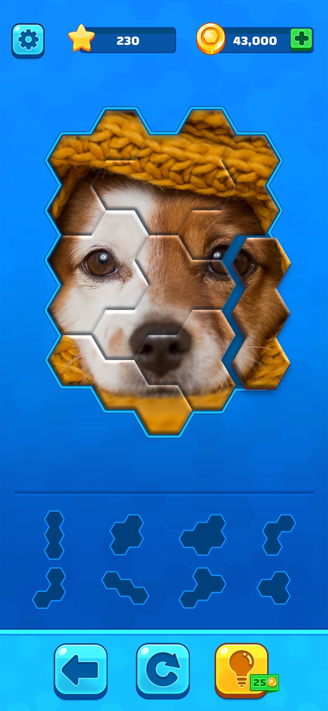 Hexa Jigsaw Puzzle ® screenshot 1 - screenshot
