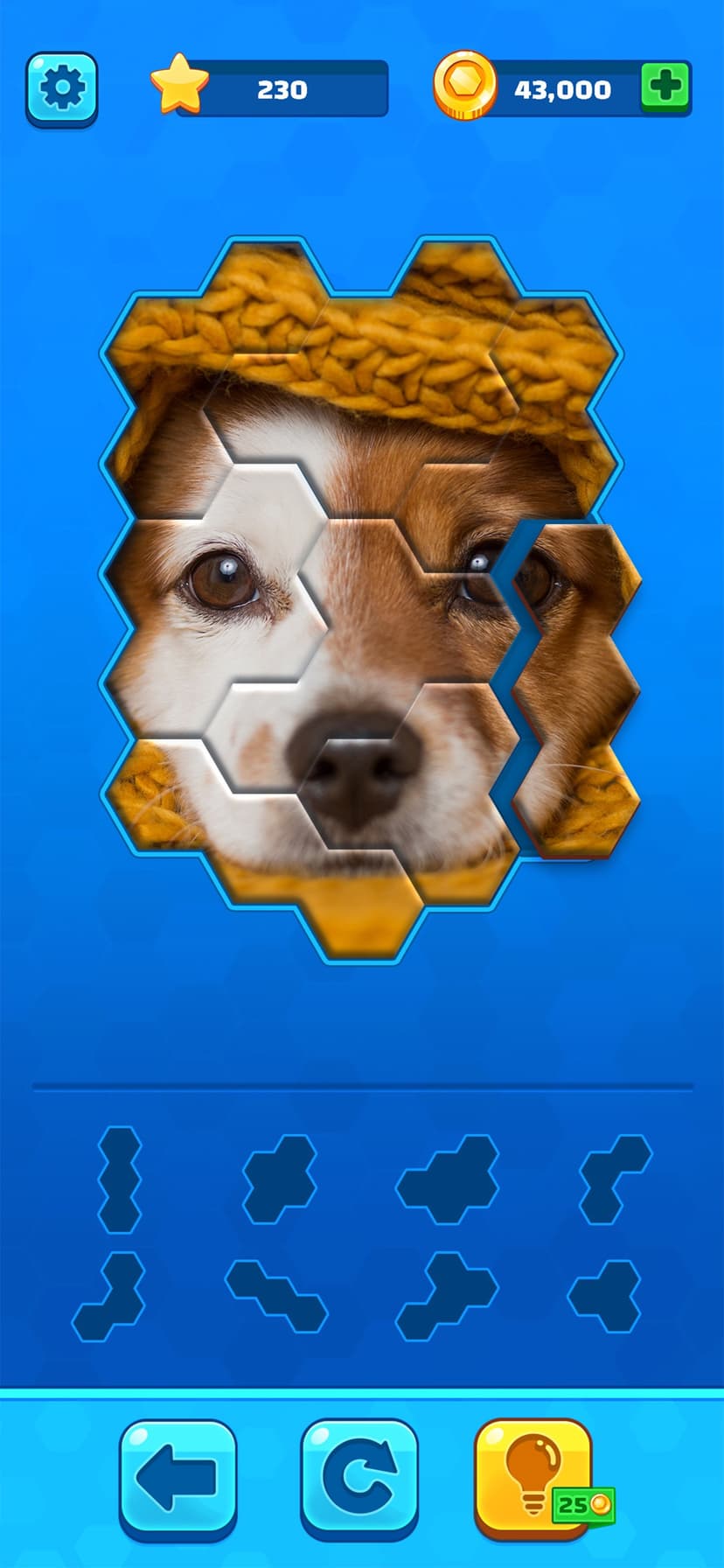Hexa Jigsaw Puzzle ® screenshot 1 - screenshot