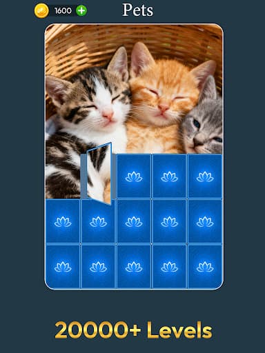 Jigmatch - Solitaire Puzzle screenshot 17 - screenshot