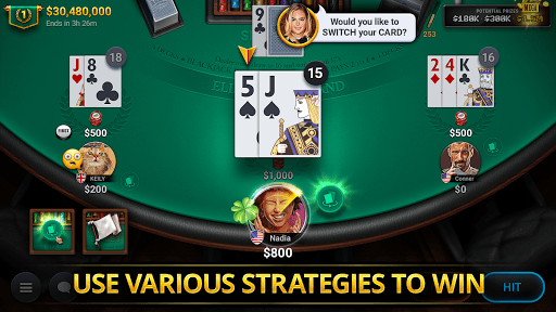 Blackjack Championship screenshot 3 - screenshot