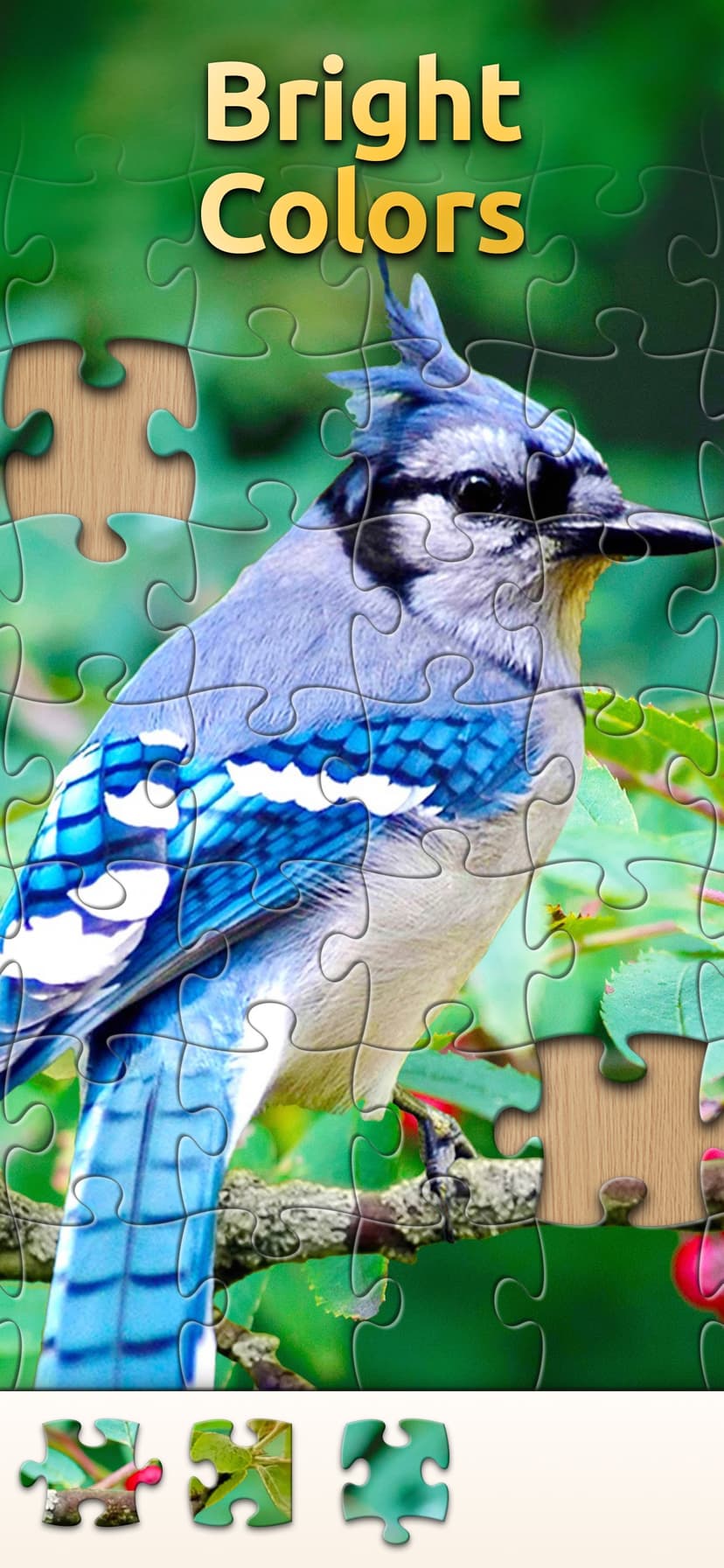 Vita Jigsaw for Seniors screenshot 3 - screenshot