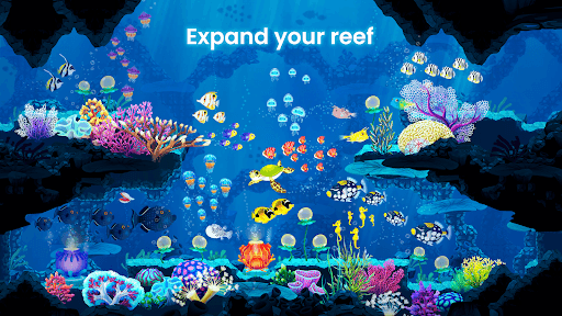 Splash — Fish Aquarium screenshot 5 - screenshot