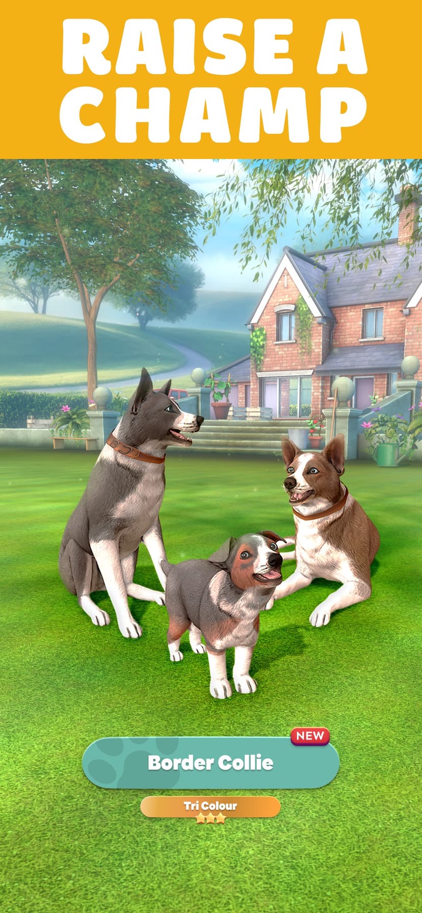 Pocket Paws: My lovely dogs screenshot 2 - screenshot
