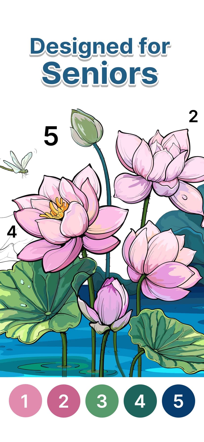 Anima Color for Seniors screenshot 1 - screenshot