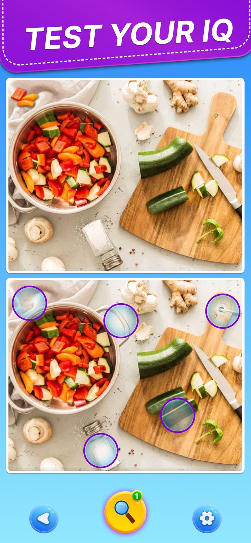Spot 5 Differences: Find them! screenshot 5 - screenshot