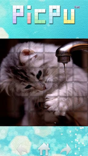 PicPu - Cat Picture Puzzle screenshot 5 - screenshot
