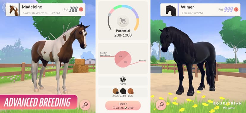 Equestrian the Game screenshot 6 - screenshot
