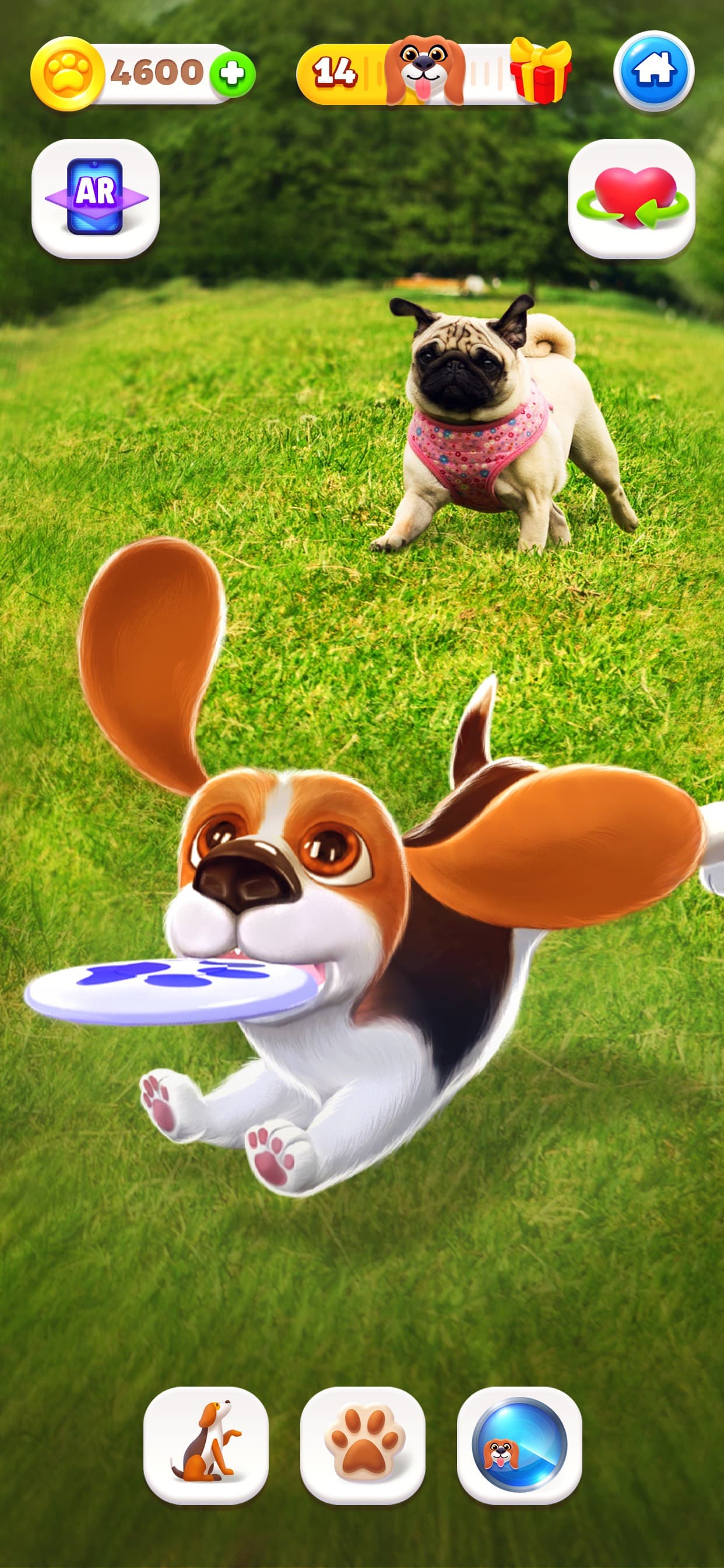 Tamadog - Puppy Pet Dog Games screenshot 9 - screenshot