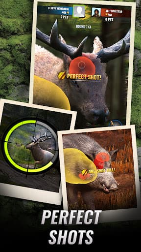 Trophy Hunter - Shooting Game screenshot 5 - screenshot