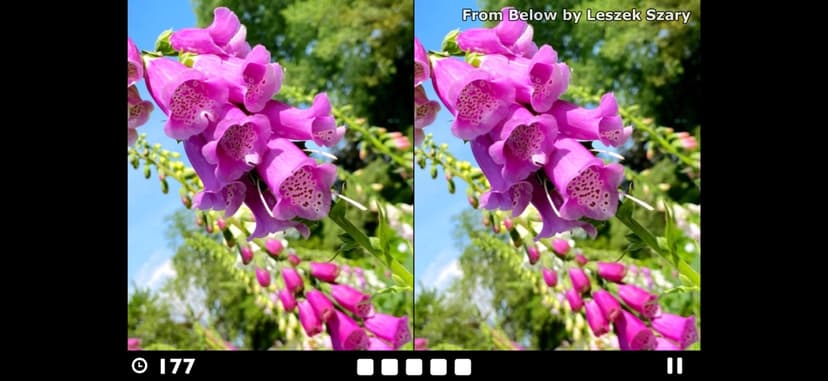 Find the Difference! screenshot 2 - screenshot