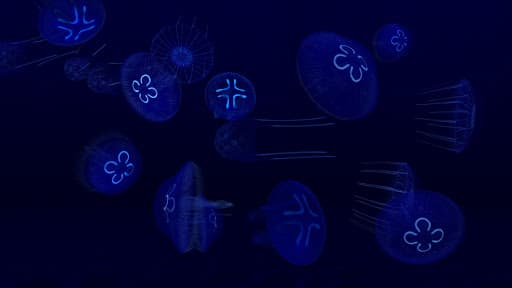 Fish Farm 3 - Aquarium screenshot 4 - screenshot