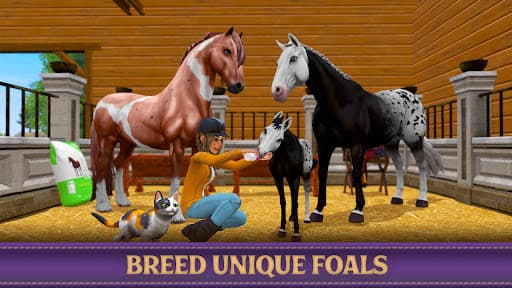 Star Equestrian - Horse Ranch screenshot 17 - screenshot