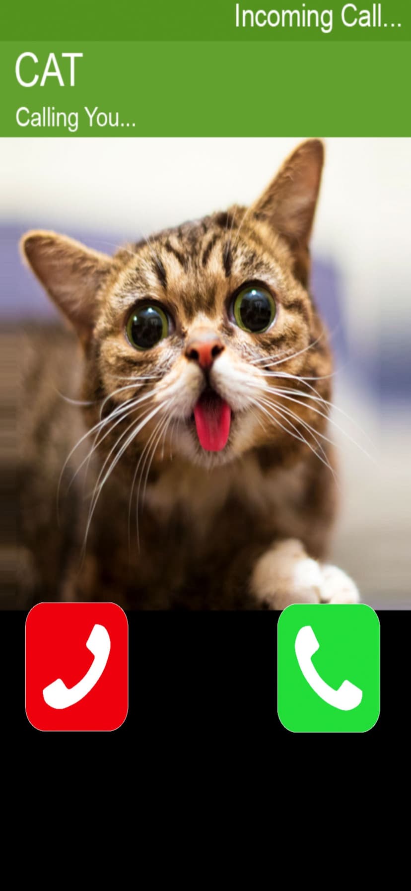 Call Cat 2 screenshot 3 - screenshot