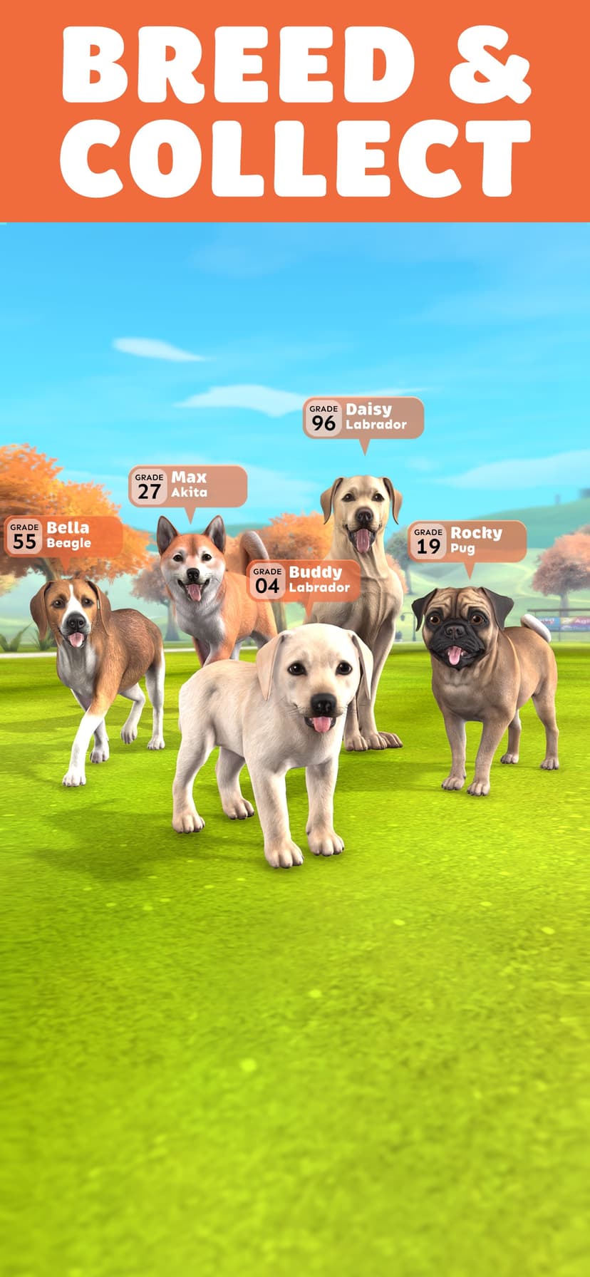 Pocket Paws: My lovely dogs screenshot 1 - screenshot