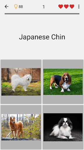 Dogs Quiz - Guess All Breeds! screenshot 14 - screenshot