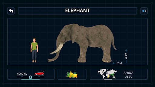 Wild Animals VR Kid Game screenshot 5 - screenshot