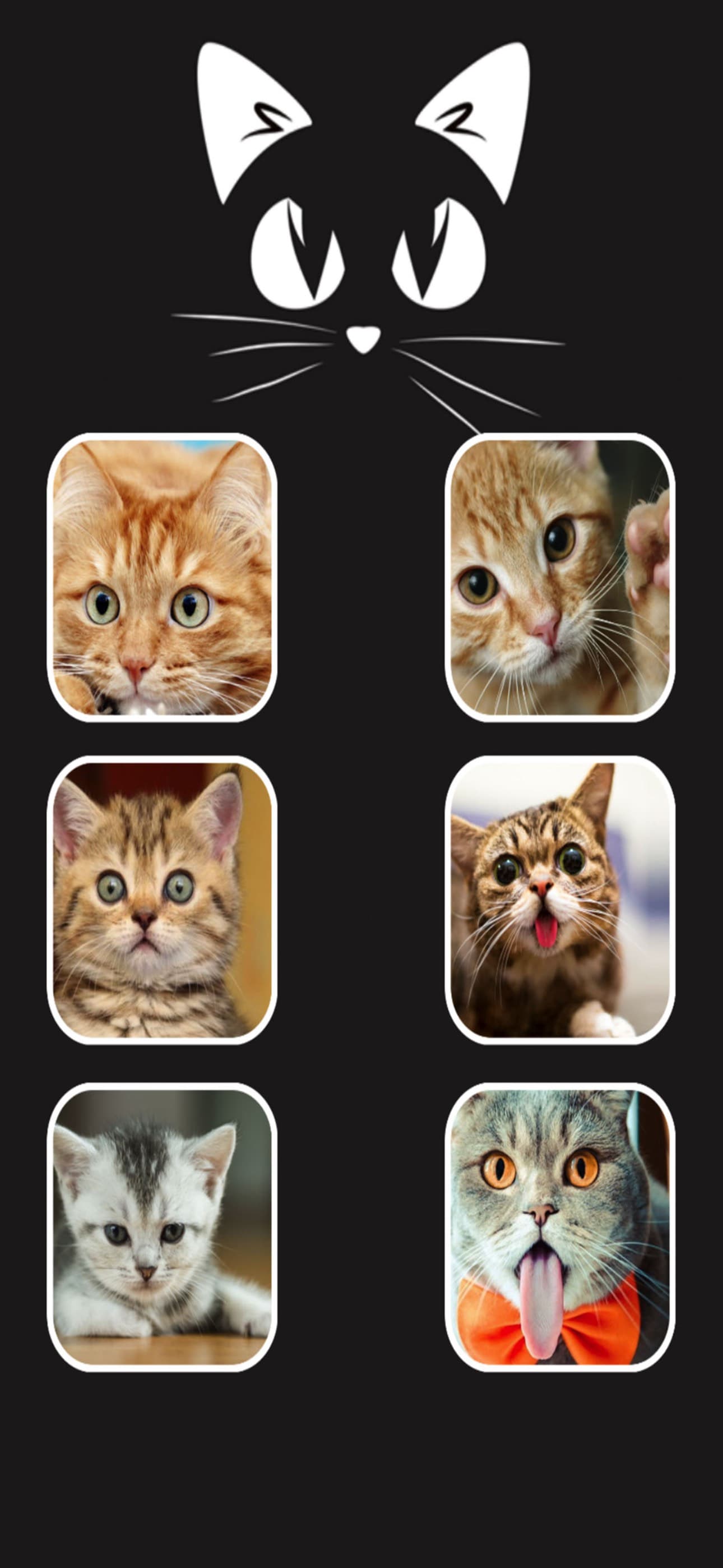 Call Cat 2 screenshot 5 - screenshot