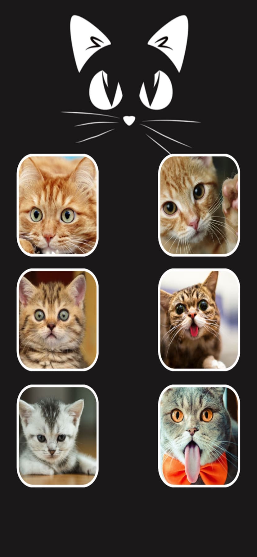 Call Cat 2 screenshot 5 - screenshot