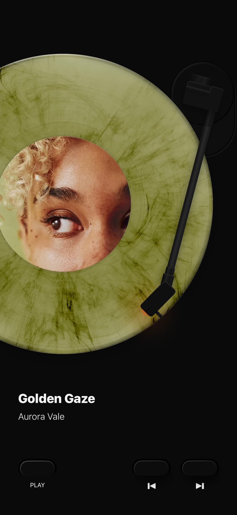 MD Vinyl for Music App screenshot 8 - screenshot