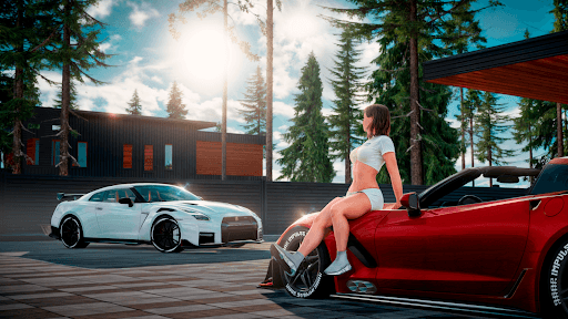 Drive Zone: Car Simulator Game screenshot 22 - screenshot