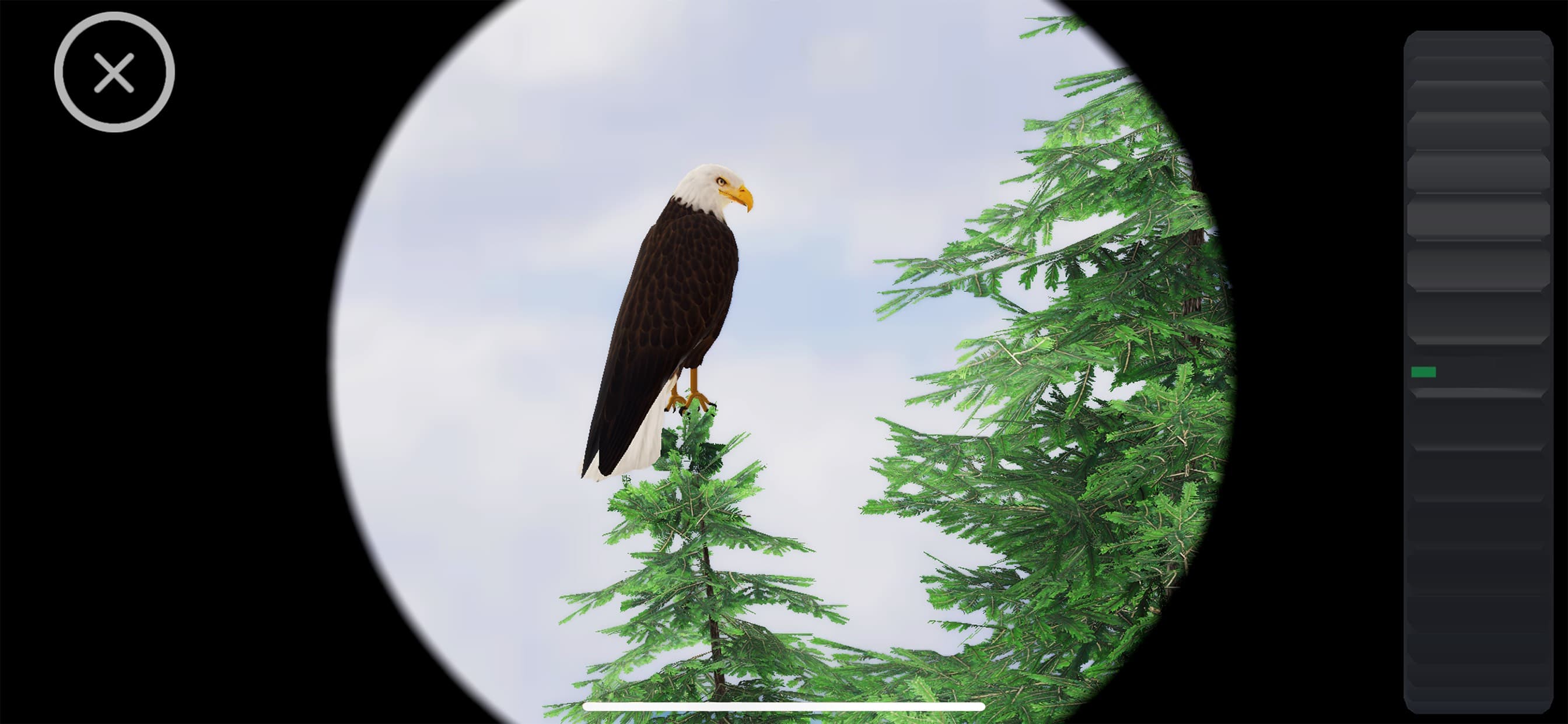 World of Wings screenshot 3 - screenshot