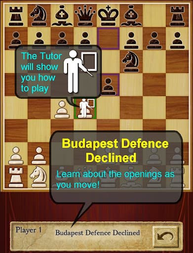 Chess Pro screenshot 11 - screenshot