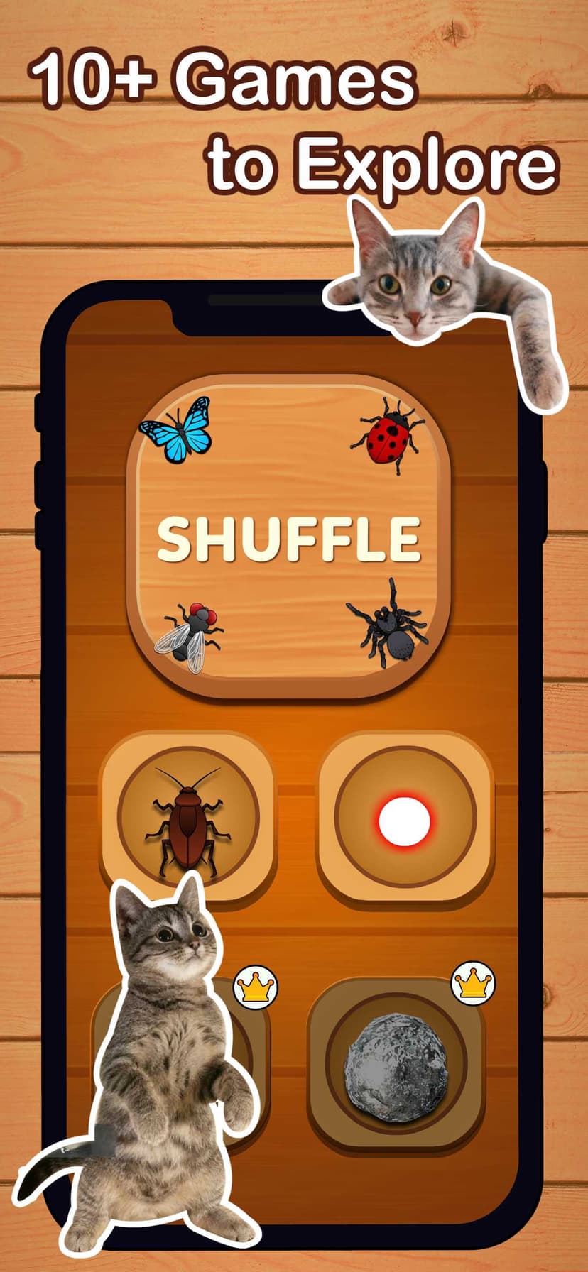 Cat Games for Cats: Bug Smash screenshot 4 - screenshot