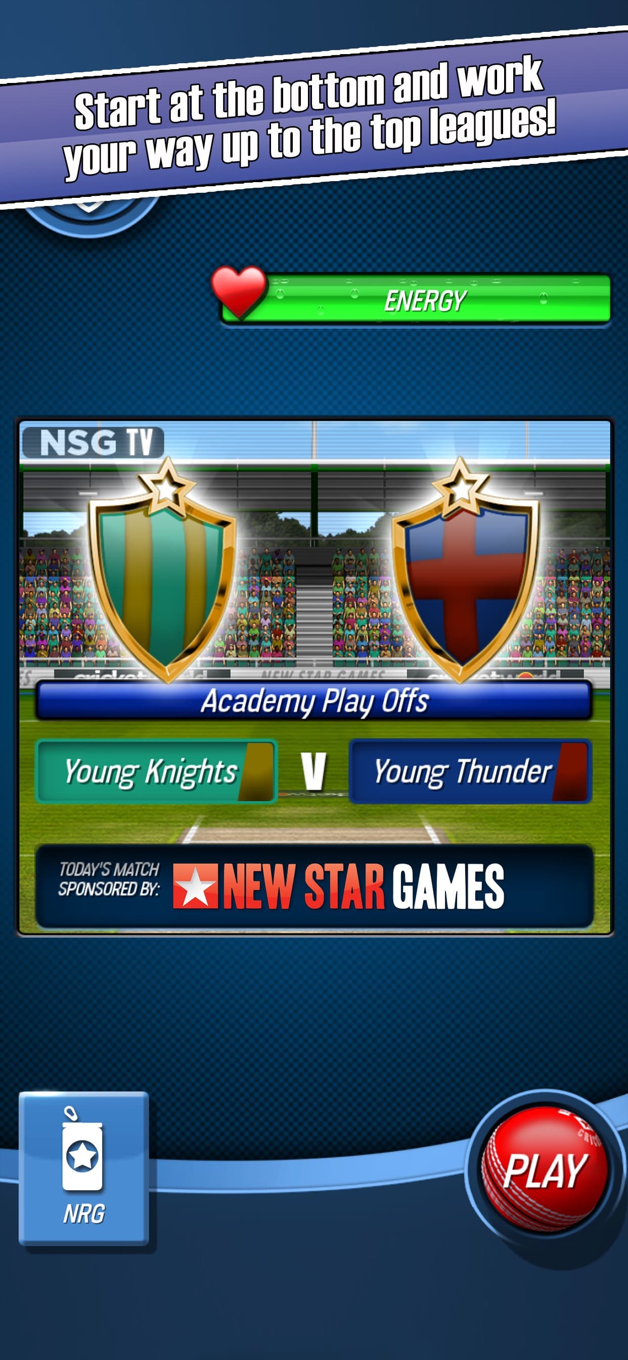 New Star Cricket screenshot 3 - screenshot
