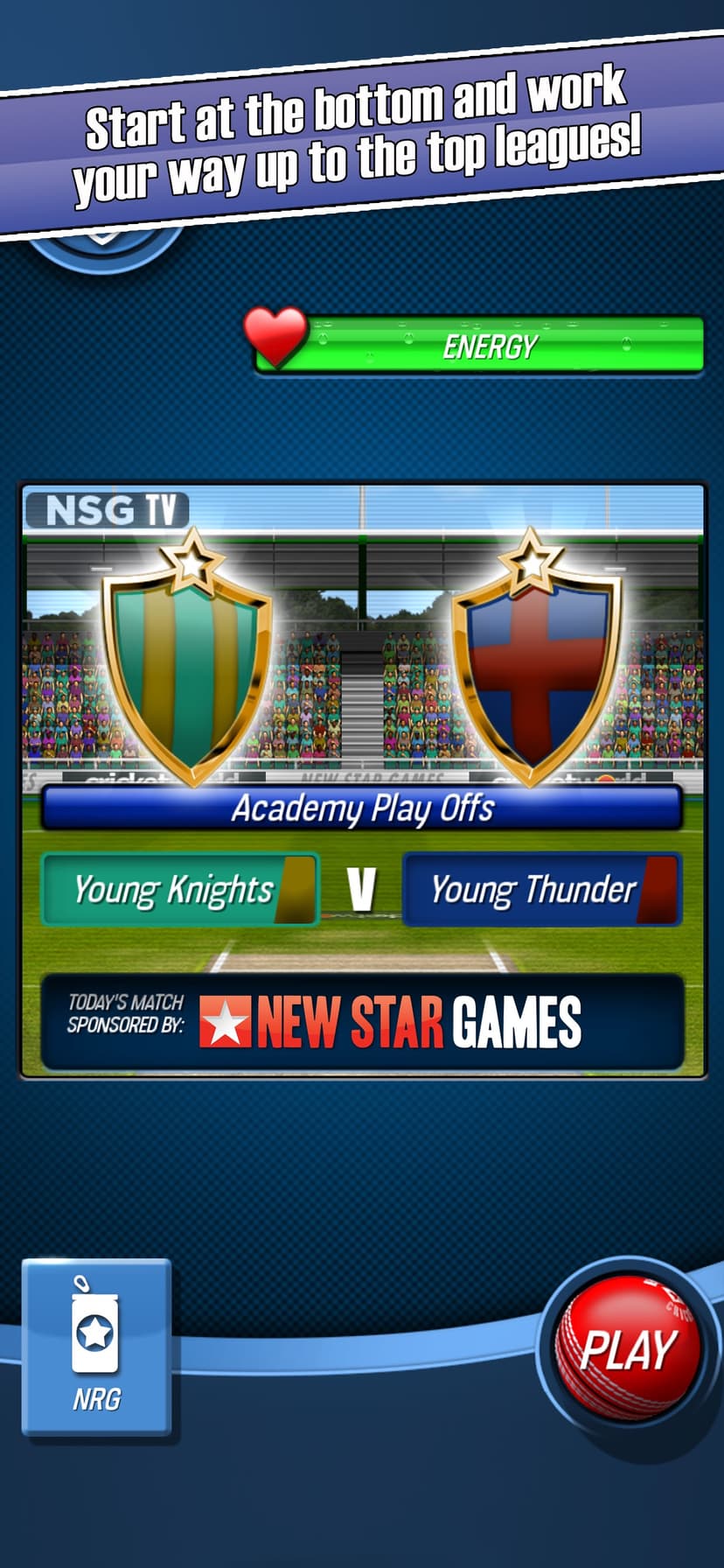 New Star Cricket screenshot 3 - screenshot