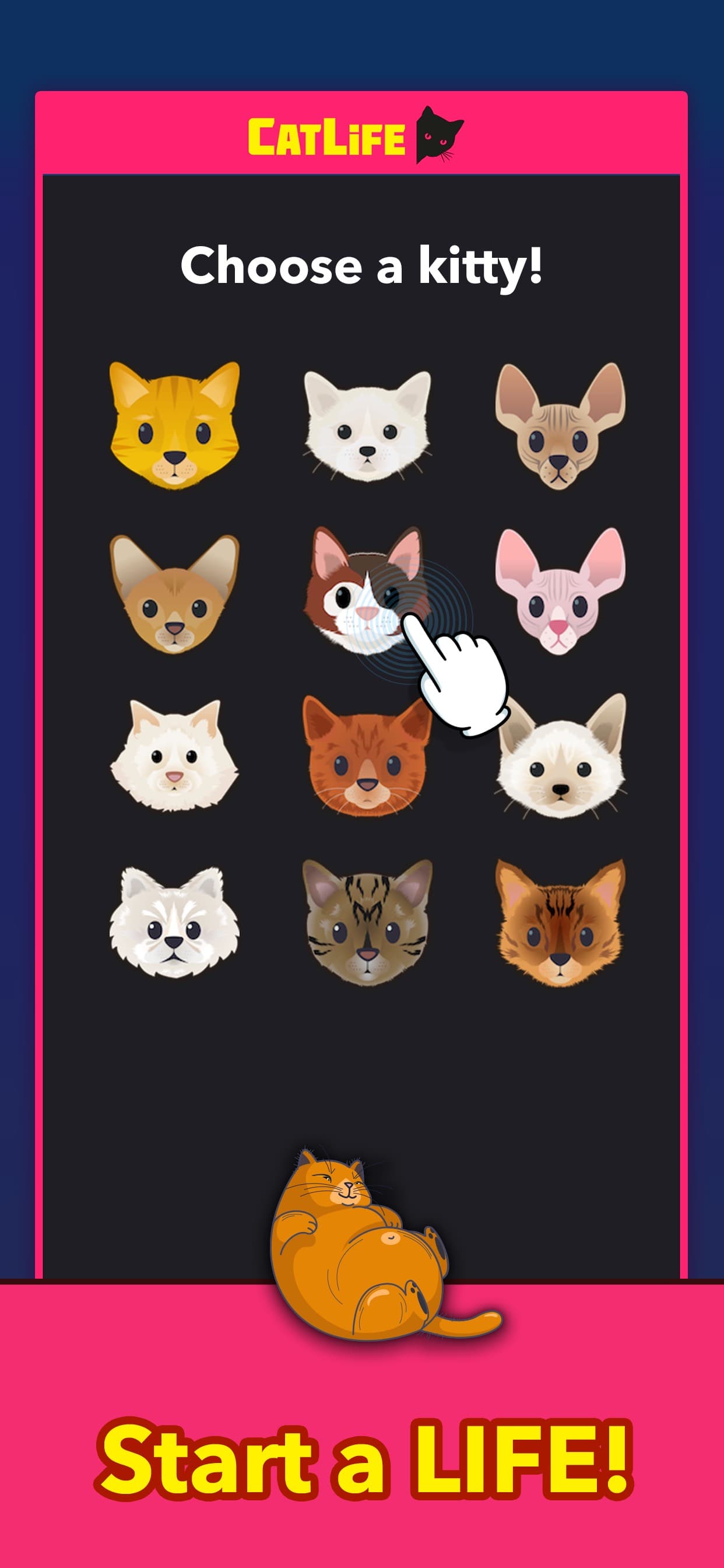 BitLife Cats - CatLife screenshot 1 - screenshot