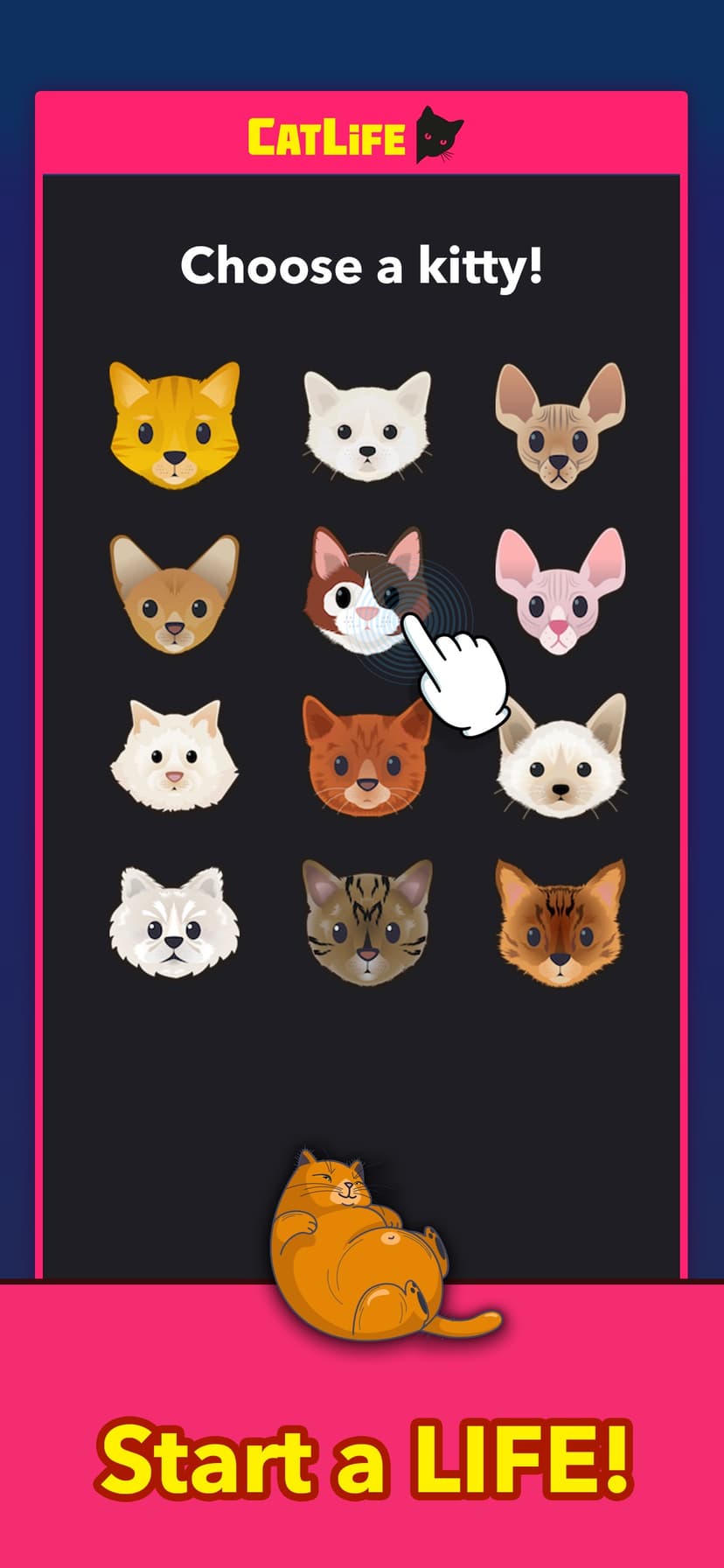 BitLife Cats - CatLife screenshot 1 - screenshot