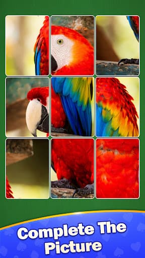 Solitaire Jigsaw : Card Puzzle screenshot 1 - screenshot