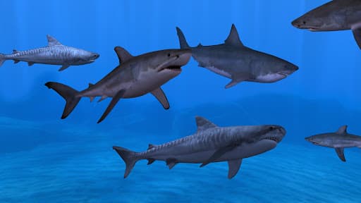 Fish Farm 3 - Aquarium screenshot 3 - screenshot