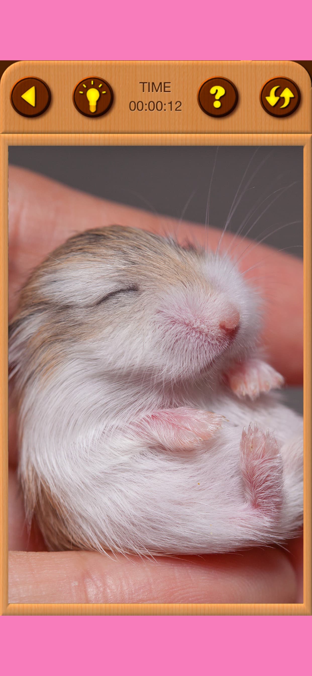 Hamster Jigsaw Puzzle Games screenshot 6 - screenshot