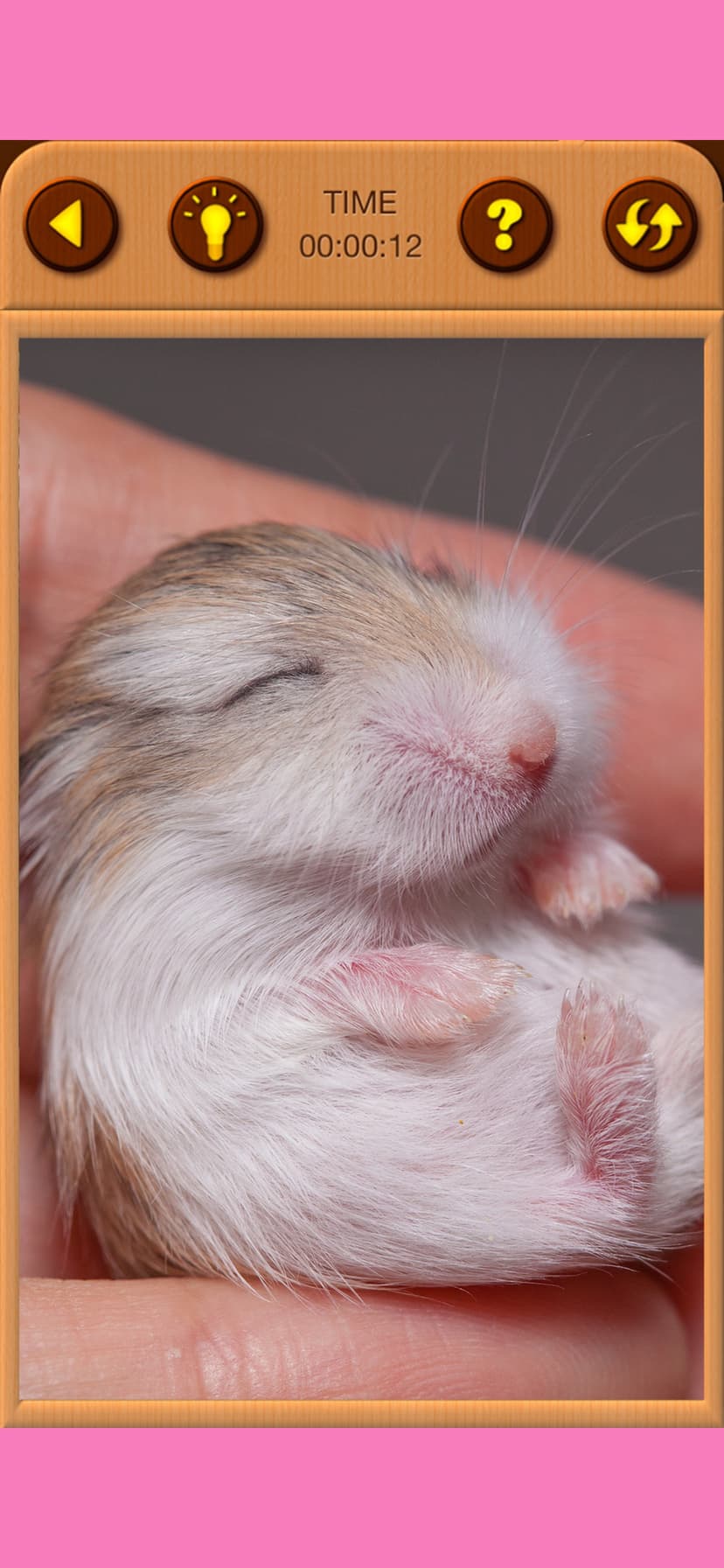 Hamster Jigsaw Puzzle Games screenshot 6 - screenshot