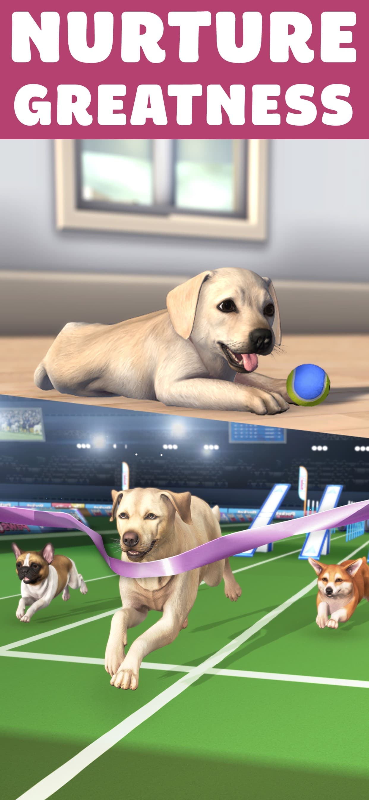 Pocket Paws: My lovely dogs screenshot 3 - screenshot