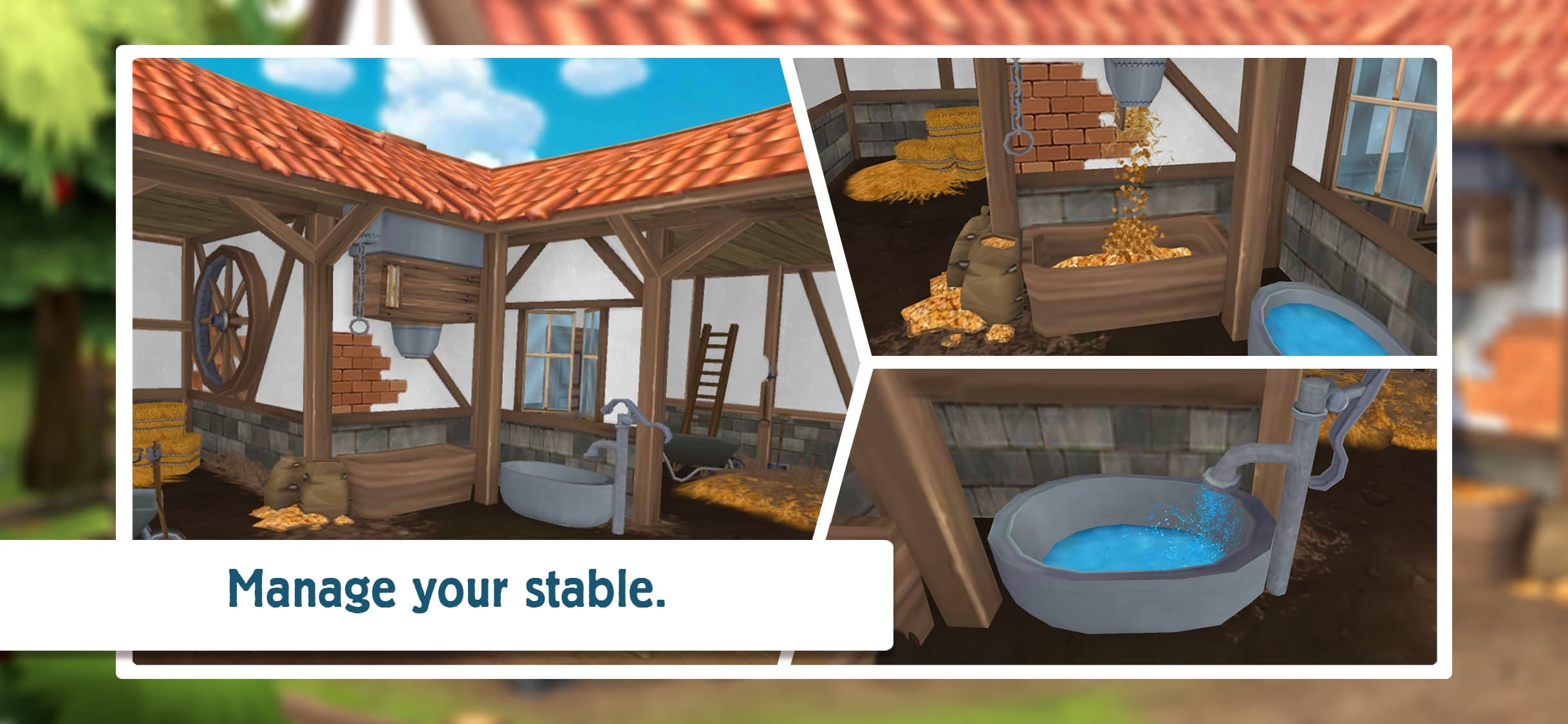 Horse Hotel - care for horses screenshot 3 - screenshot