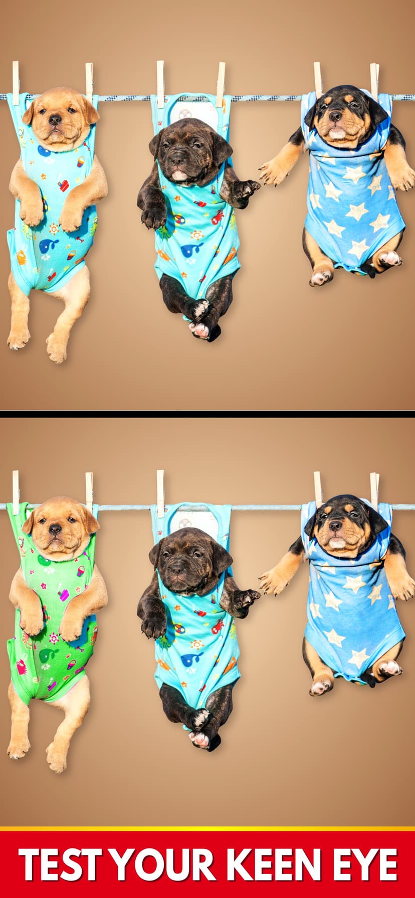 Find The Differences: Spot It screenshot 3 - screenshot