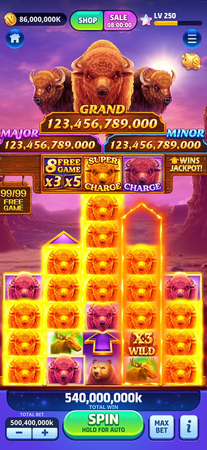 Vegas Frenzy screenshot 3 - screenshot