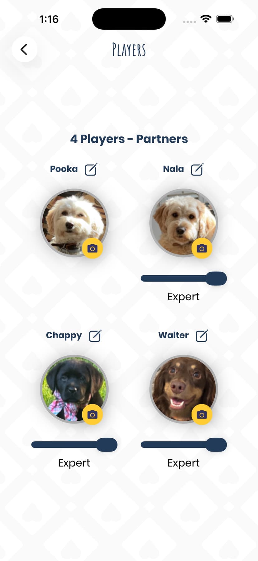 IPitch screenshot 7 - screenshot