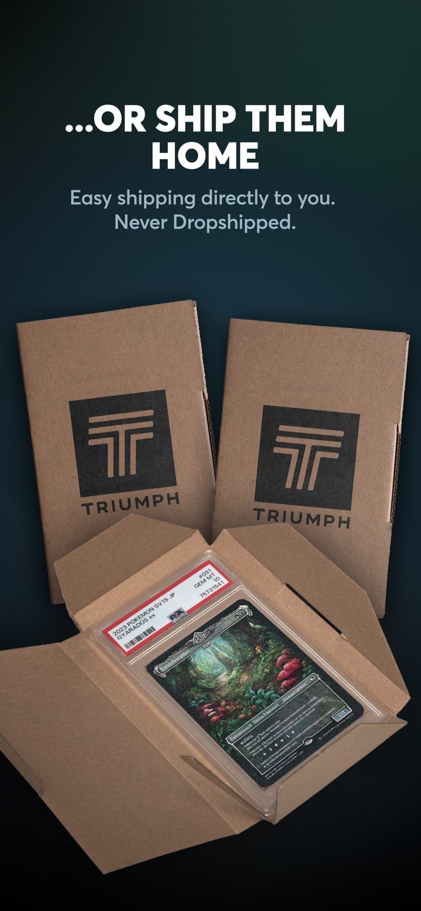 Rips by Triumph screenshot 3 - screenshot